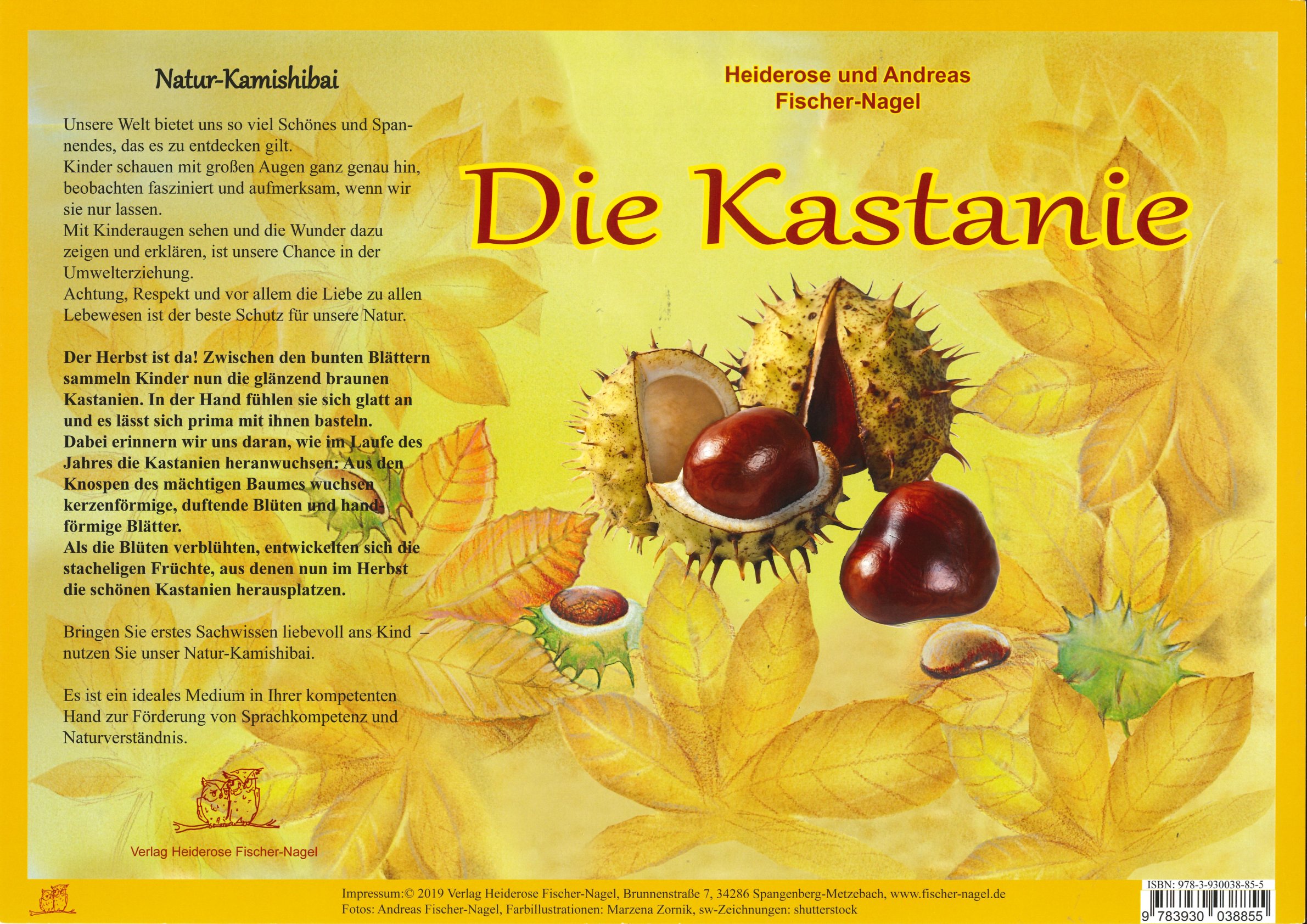 Die Kastanie - kamishibai